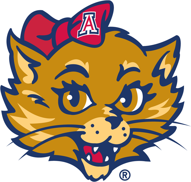 Arizona Wildcats 2003-Pres Mascot Logo v3 DIY iron on transfer (heat transfer)